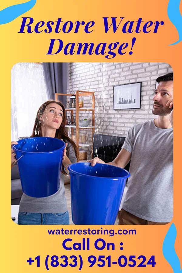 water restoration Water Mitigation Masters Frankfort Springs