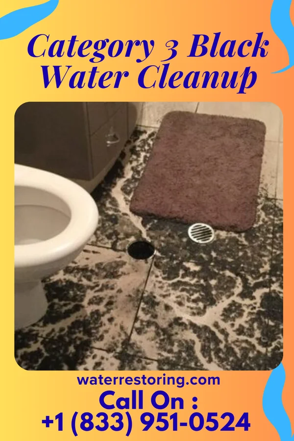 Category 3 Black Water Cleanup in Frankfort Springs, PA
