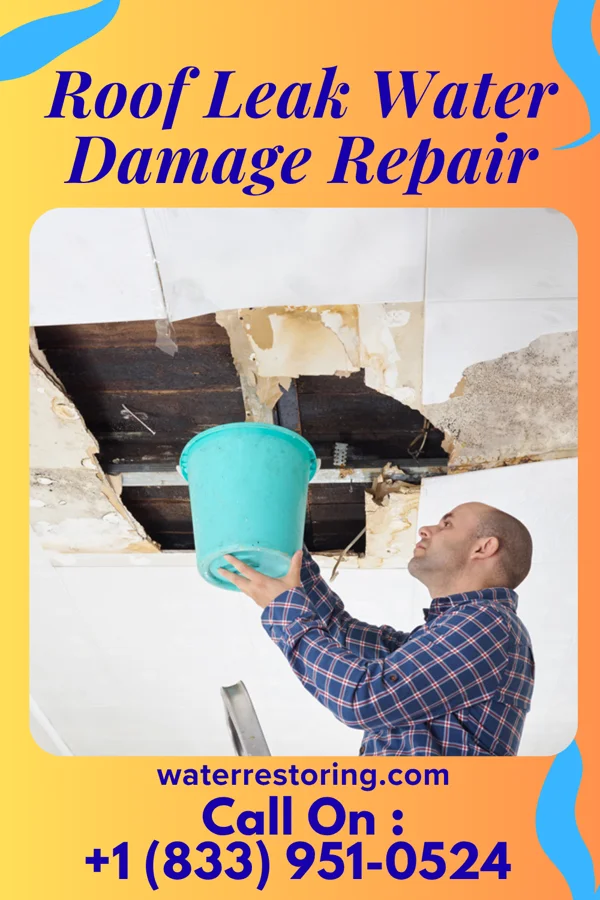 Roof Leak Water Damage Repair in Frankfort Springs, PA