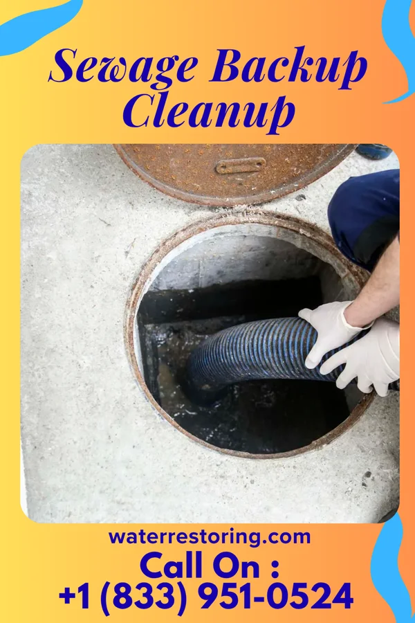Sewage Backup Cleanup in Frankfort Springs, PA