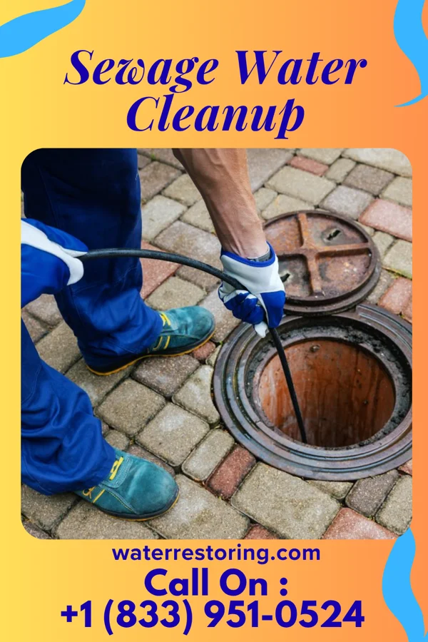 Sewage Water Cleanup in Frankfort Springs, PA