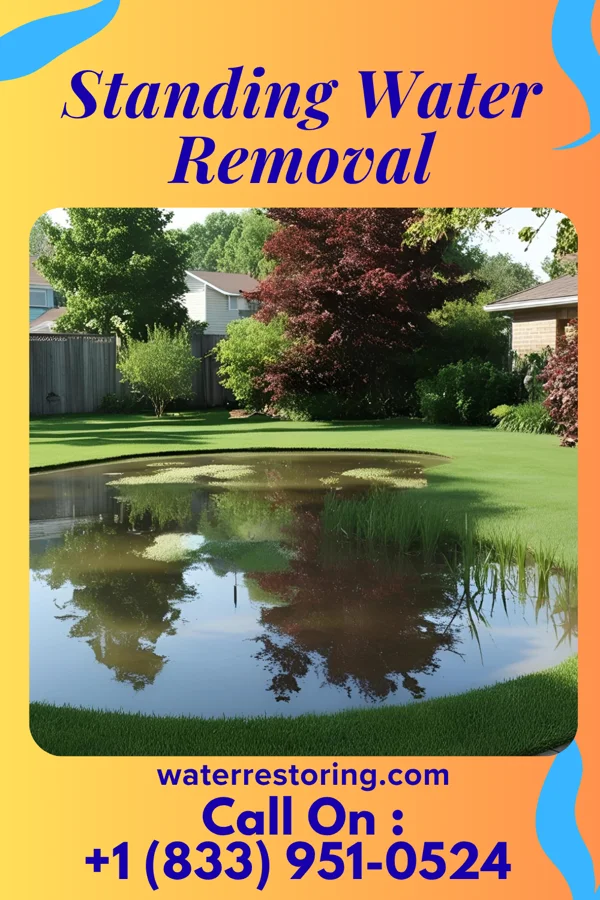 Standing Water Removal in Frankfort Springs, PA